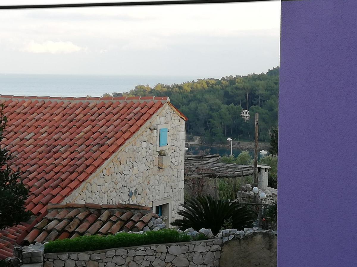 Apartament Ribaric *